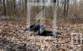 На Днепропетровщине в лесопосадке обнаружили труп неизвестного мужчины - ФОТО