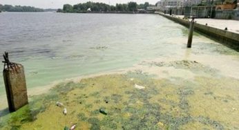 Главная река Каменского в беде