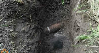 В Каменском районе обнаружили опасную находку