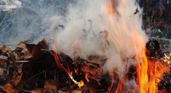 Жителям Днепропетровщины напомнили о запрете сжигать опавшие листья