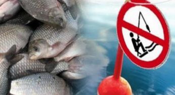 Вниманию каменчан: выросли штрафы за незаконный вылов рыбы