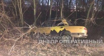 На Днепропетровщине водитель на ВАЗе вылетел в кювет и врезался в дерево