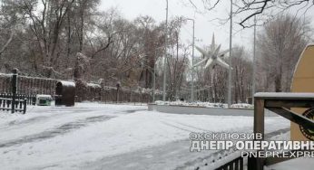 В парке Днепра парень и девушка подрались из-за горки
