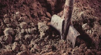 На Днепропетровщине во время земляных работ нашли останки человека