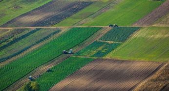В ДнепрОГА рассказали о новых правилах аренды земли