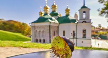 Три Спаси, Іллі-пророка та інші важливі свята серпня 2022: з’явився календар