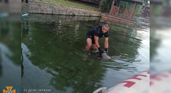 В Днепре утонул мужчина