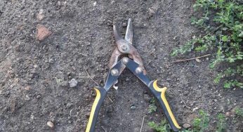 На Дніпропетровщині чоловік, погрожуючи садовими ножицями, пограбував жінку