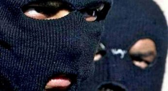 У Кам’янському грабіжники вивезли алкоголь зі складу