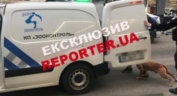 У Дніпрі у п’яного неадеквату вилучили собаку