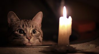 Де у Кам’янському відключено світло