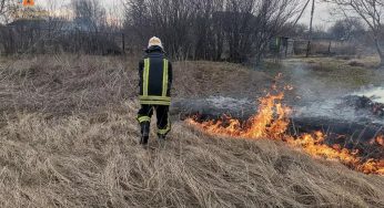 Під Кам’янським спалахнув сухостій