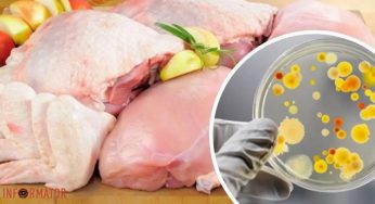 У Дніпрі та області може продаватися небезпечна курятина з Польщі
