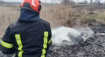 Краще донатити на ЗСУ: кам’янчан закликають не спалювати сухостій