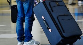 Кам’янчанам на замітку: що категорично не можна провозити через кордон в Україну та країни ЄС