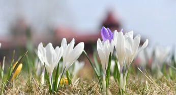 Ніч на Дніпропетровщині пройшла без обстрілів
