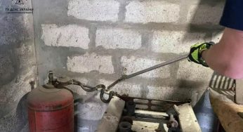 У Дніпрі господарів будинку налякала метрова змія