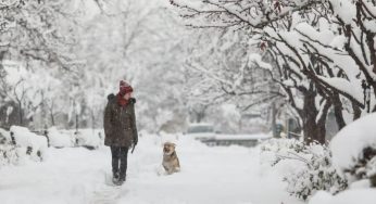 Дуня принесе сніг і морози в Кам’янське