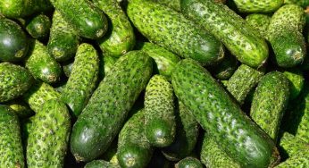 Скільки коштують огірки у Кам’янському