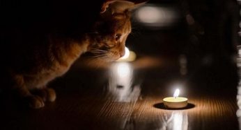 Де в Кам’янському сьогодні відключать світло
