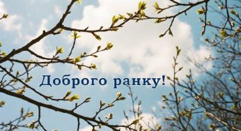 Минулого тижня у Камʼянському народилося 13 дітей