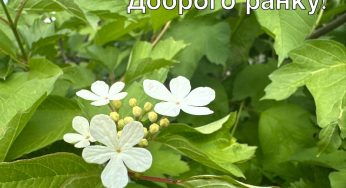 Минулого тижня у Кам’янському народилося 20 дітей