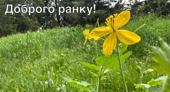 У Кам’янському все спокійно