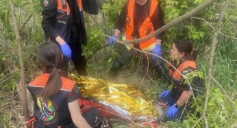 На Дніпропетровщині в лісосмузі знайшли зниклу бабусю