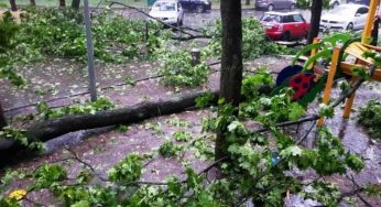 У Дніпрі дерево впало на дитячий майданчик (відео)