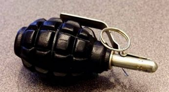 У Кам’янському біля будинку знайшли гранату