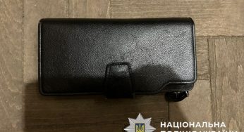 У середмісті Кам’янського зловмисник пограбував пенсіонерку