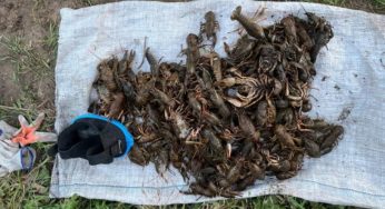 На Кам’янському водосховищі спіймали браконьєра