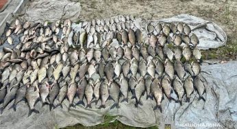 У Дніпрі поліцейські спіймали браконьєра з рибою майже на 350 тисяч гривень