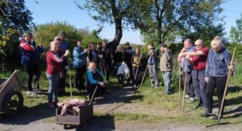 Органи самоорганізації населення продовжують роботи з благоустрою Кам’янського