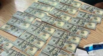 На Дніпропетровщині викрили на хабарі голову садового товариства