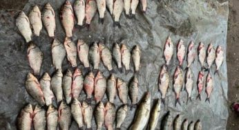 На Кам’янському водосховищі спіймали браконьєра