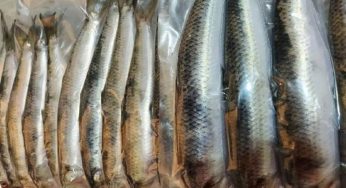 Цей оселедець нізащо не можна купувати в магазині навіть зі знижкою
