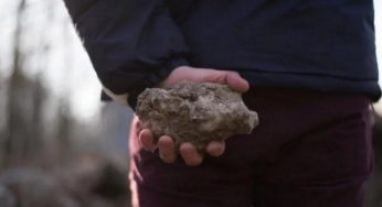 На Дніпропетровщині пенсіонер вдарив камінням по голові та пограбував літню жінку