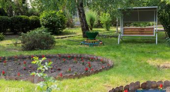 Роботи з благоустрою, виконані у Кам’янському цього тижня