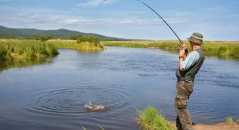 На водоймах Дніпропетровської області та України завершилась нерестова заборона