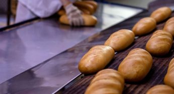 Кам’янський хлібзавод запрошує на роботу