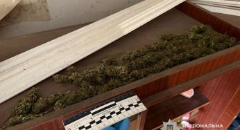 Зберігав понад сотню пакунків канабісу: на Дніпропетровщині спіймали наркоділка